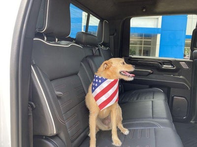 2024 GMC Sierra 2500 HD AT4X
