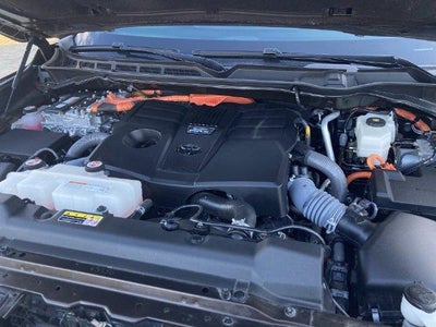 2024 Toyota Sequoia SR5